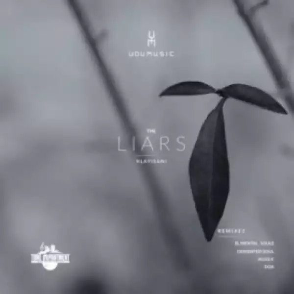 Udumusic, Hlayisani - The Liars(Original Mix)